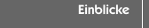 Einblicke